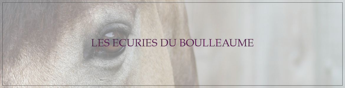 LES ECURIES DU BOULLEAUME